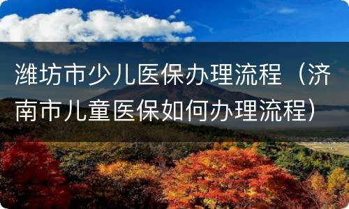 潍坊市少儿医保办理流程（济南市儿童医保如何办理流程）