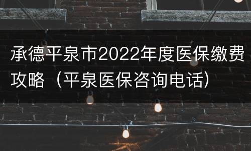 承德平泉市2022年度医保缴费攻略（平泉医保咨询电话）