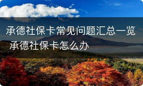 承德社保卡常见问题汇总一览 承德社保卡怎么办
