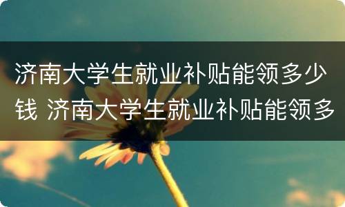 济南大学生就业补贴能领多少钱 济南大学生就业补贴能领多少钱一个月