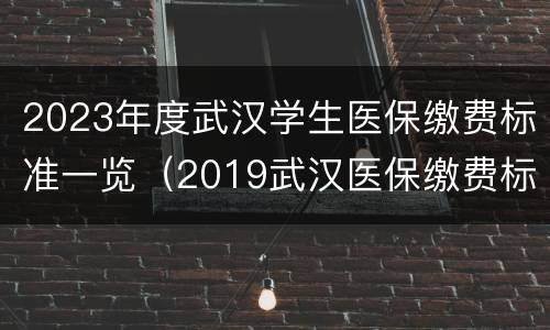2023年度武汉学生医保缴费标准一览（2019武汉医保缴费标准）