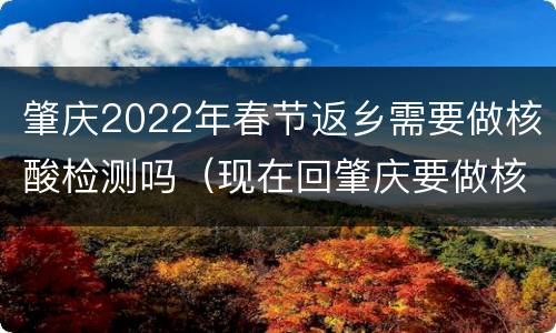 肇庆2022年春节返乡需要做核酸检测吗（现在回肇庆要做核酸检测吗）
