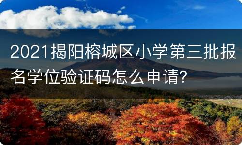 2021揭阳榕城区小学第三批报名学位验证码怎么申请？