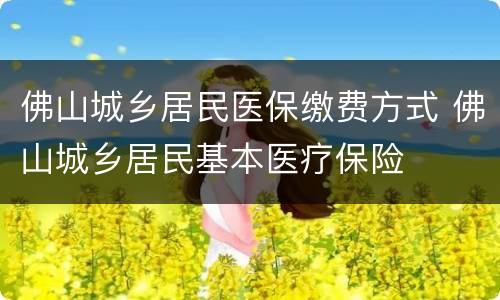佛山城乡居民医保缴费方式 佛山城乡居民基本医疗保险