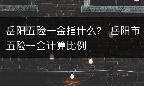 岳阳五险一金指什么？ 岳阳市五险一金计算比例