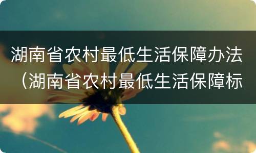 湖南省农村最低生活保障办法（湖南省农村最低生活保障标准）