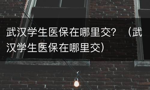 武汉学生医保在哪里交？（武汉学生医保在哪里交）