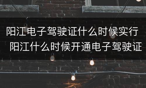阳江电子驾驶证什么时候实行 阳江什么时候开通电子驾驶证
