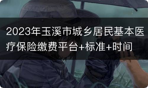 2023年玉溪市城乡居民基本医疗保险缴费平台+标准+时间