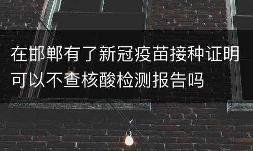 在邯郸有了新冠疫苗接种证明可以不查核酸检测报告吗