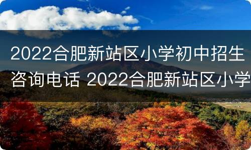 2022合肥新站区小学初中招生咨询电话 2022合肥新站区小学初中招生咨询电话号码