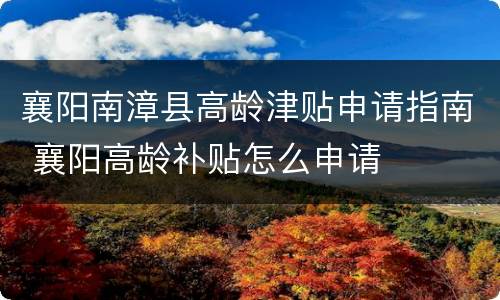 襄阳南漳县高龄津贴申请指南 襄阳高龄补贴怎么申请