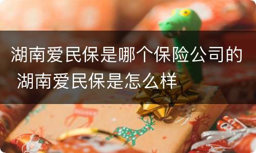 湖南爱民保是哪个保险公司的 湖南爱民保是怎么样