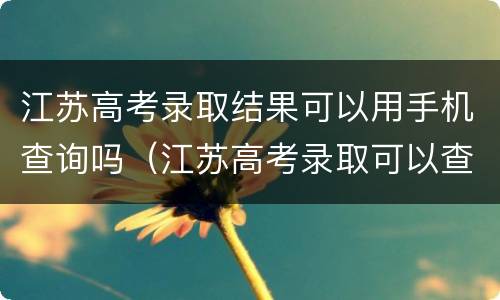 江苏高考录取结果可以用手机查询吗（江苏高考录取可以查询了吗）