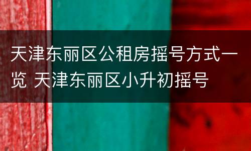 天津东丽区公租房摇号方式一览 天津东丽区小升初摇号