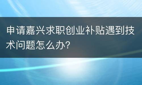 申请嘉兴求职创业补贴遇到技术问题怎么办？