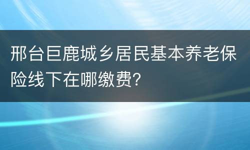 邢台巨鹿城乡居民基本养老保险线下在哪缴费？