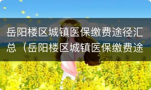 岳阳楼区城镇医保缴费途径汇总（岳阳楼区城镇医保缴费途径汇总查询）
