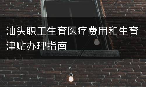 汕头职工生育医疗费用和生育津贴办理指南