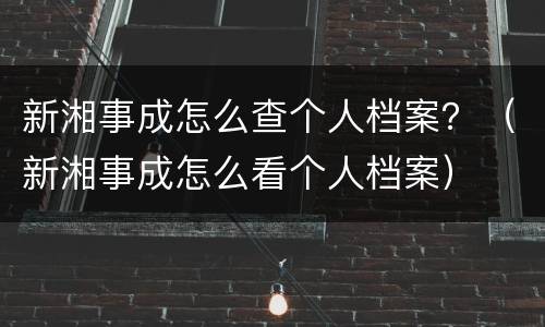 新湘事成怎么查个人档案？（新湘事成怎么看个人档案）