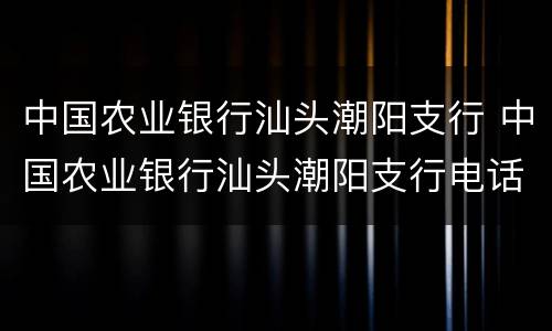 中国农业银行汕头潮阳支行 中国农业银行汕头潮阳支行电话