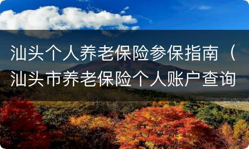 汕头个人养老保险参保指南（汕头市养老保险个人账户查询）