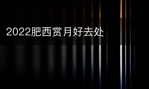 2022肥西赏月好去处