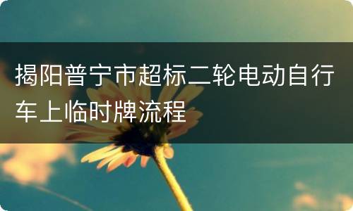 揭阳普宁市超标二轮电动自行车上临时牌流程