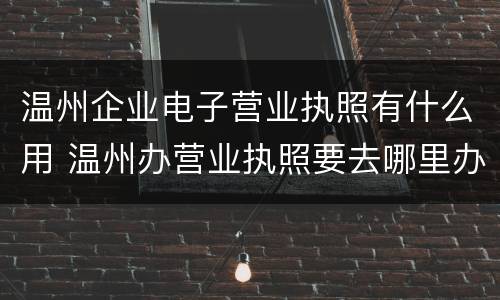 温州企业电子营业执照有什么用 温州办营业执照要去哪里办