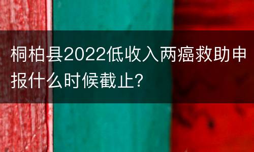 桐柏县2022低收入两癌救助申报什么时候截止？