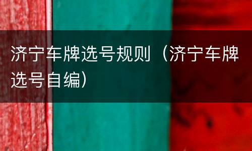 济宁车牌选号规则（济宁车牌选号自编）