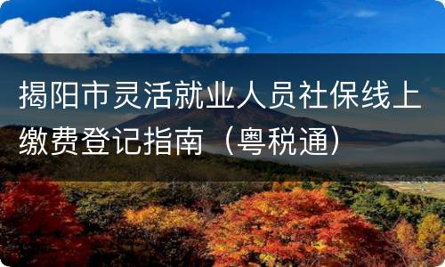 揭阳市灵活就业人员社保线上缴费登记指南（粤税通）