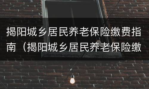 揭阳城乡居民养老保险缴费指南（揭阳城乡居民养老保险缴费指南电子版）