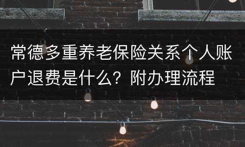 常德多重养老保险关系个人账户退费是什么？附办理流程