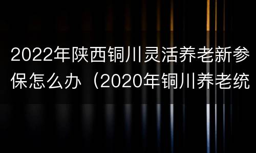 2022年陕西铜川灵活养老新参保怎么办（2020年铜川养老统筹最新政策）