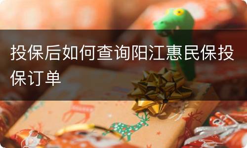 投保后如何查询阳江惠民保投保订单