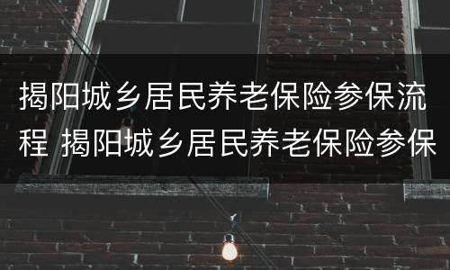 揭阳城乡居民养老保险参保流程 揭阳城乡居民养老保险参保流程图