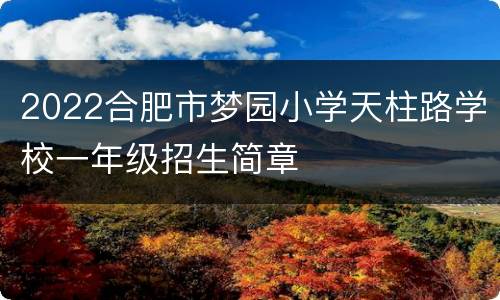 2022合肥市梦园小学天柱路学校一年级招生简章
