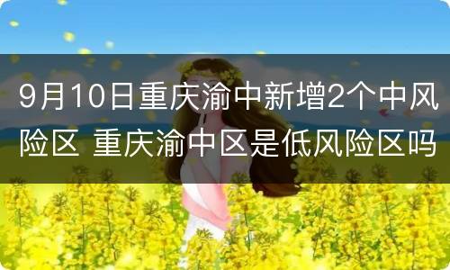 9月10日重庆渝中新增2个中风险区 重庆渝中区是低风险区吗