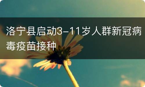 洛宁县启动3-11岁人群新冠病毒疫苗接种