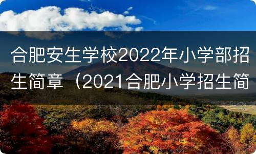 合肥安生学校2022年小学部招生简章（2021合肥小学招生简章）