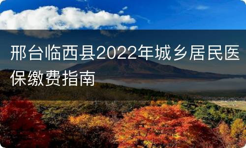 邢台临西县2022年城乡居民医保缴费指南