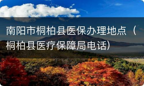 南阳市桐柏县医保办理地点（桐柏县医疗保障局电话）