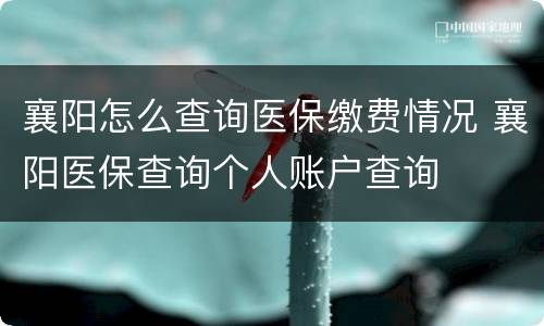 襄阳怎么查询医保缴费情况 襄阳医保查询个人账户查询
