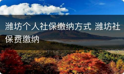 潍坊个人社保缴纳方式 潍坊社保费缴纳
