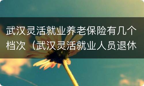 武汉灵活就业养老保险有几个档次（武汉灵活就业人员退休金档次）