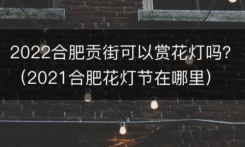 2022合肥贡街可以赏花灯吗？（2021合肥花灯节在哪里）