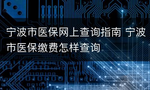 宁波市医保网上查询指南 宁波市医保缴费怎样查询
