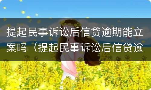 提起民事诉讼后信贷逾期能立案吗（提起民事诉讼后信贷逾期能立案吗知乎）