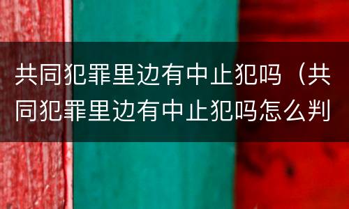 共同犯罪里边有中止犯吗（共同犯罪里边有中止犯吗怎么判）